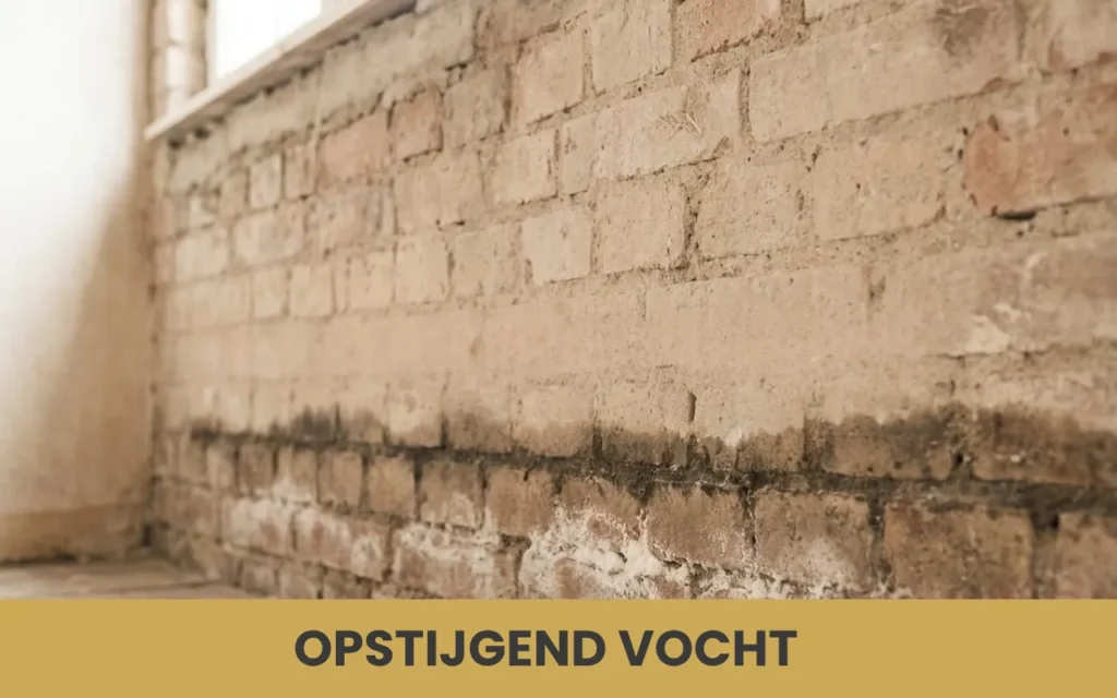 Close-up van een oude bakstenen muur met een duidelijke vochtplek onderaan, een teken van opstijgend vocht.