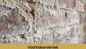 Detail van een bakstenen muur met duidelijke vochtschade, waarbij witte uitslag en loslatend stucwerk zichtbaar zijn.